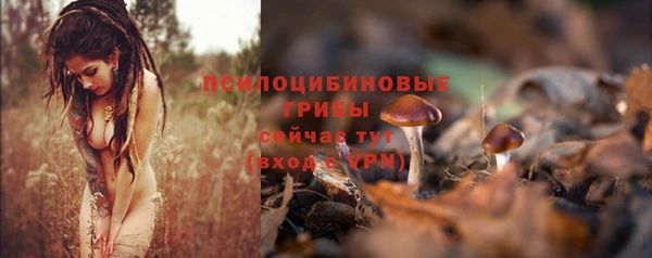 бошки Верхний Тагил