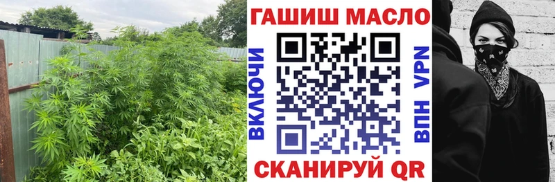 Дистиллят ТГК Wax  OMG tor  Кувандык 
