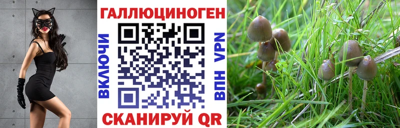 Галлюциногенные грибы прущие грибы  Кувандык 
