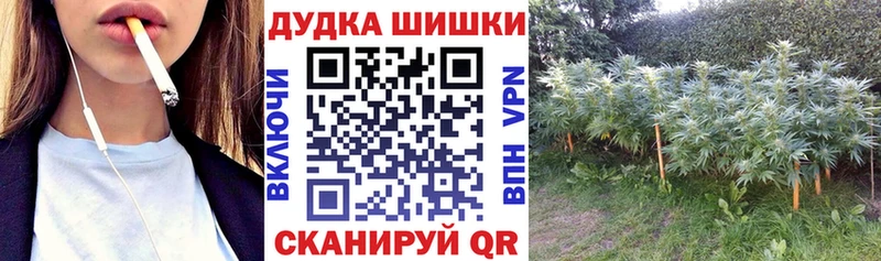 Бошки Шишки марихуана  Кувандык 